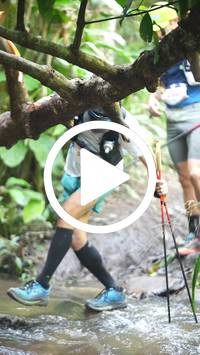 BIB:  <button type="button" onclick="openModal(27824241)" class="btn btn-primary btn-sm float-right" data-toggle="modal" data-target=".modal-high-quality">
                <i class="fa fa-download"></i> Download
                </button>